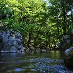 Kisik Konagi 4*