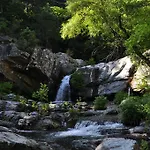 Kisik Konagi 4*