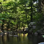 Pensionat Kisik Konagi