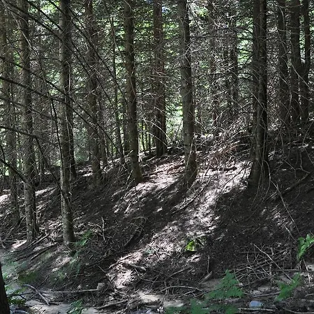 Kisik Konagi Maison d'hôtes