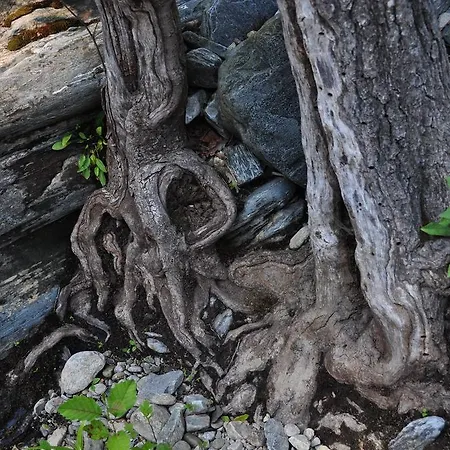 Kisik Konagi Maison d'hôtes 3*