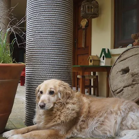 Kisik Konagi 3* Yesilyurt (Canakkale)