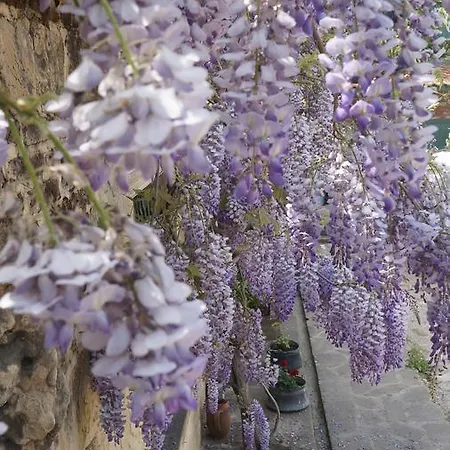 Kisik Konagi Maison d'hôtes 3*