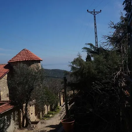 Kisik Konagi * Yesilyurt (Canakkale)
