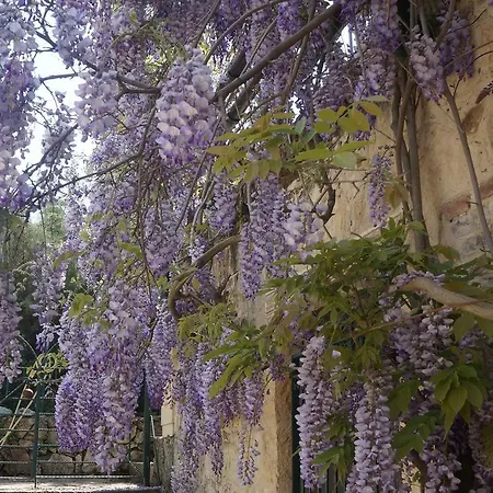 Kisik Konagi Yesilyurt (Canakkale)