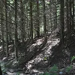 Kisik Konagi Affittacamere