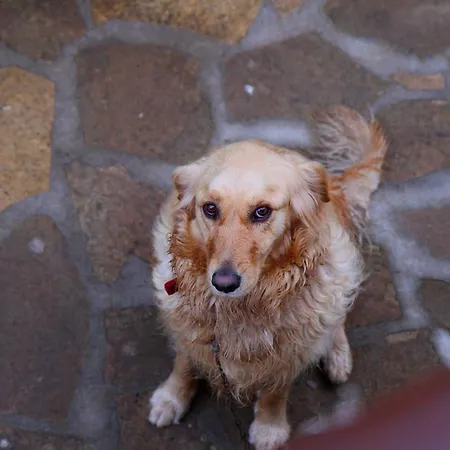 Kisik Konagi Casa de hóspedes