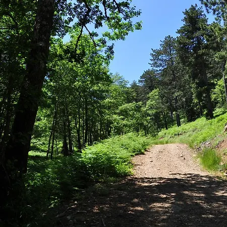 Kisik Konagi Yesilyurt (Canakkale)