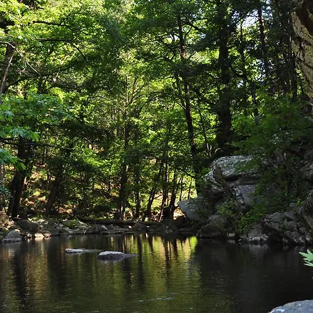 Pensjonat Kisik Konagi