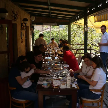 Kisik Konagi 3* Yesilyurt (Canakkale)