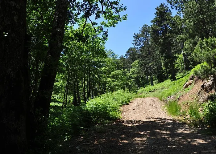 Kisik Konagi Yesilyurt (Canakkale)