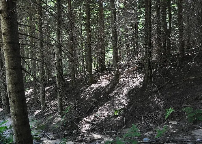 Kisik Konagi 게스트하우스