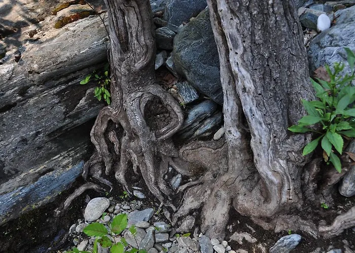 Kisik Konagi 게스트하우스 3*