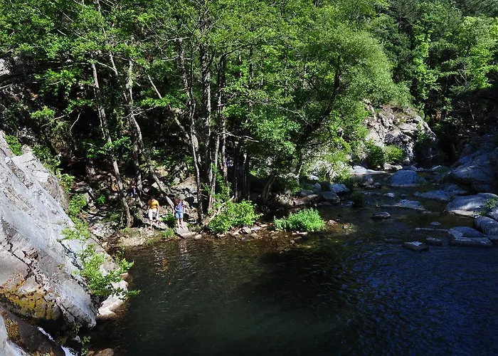 게스트하우스 Kisik Konagi