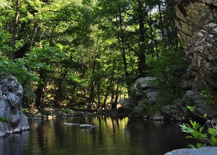 게스트하우스 Kisik Konagi