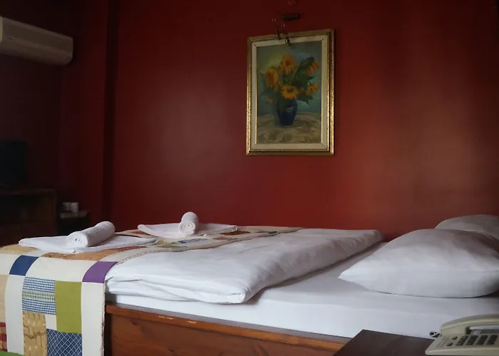 게스트하우스 Kisik Konagi Yesilyurt (Canakkale)