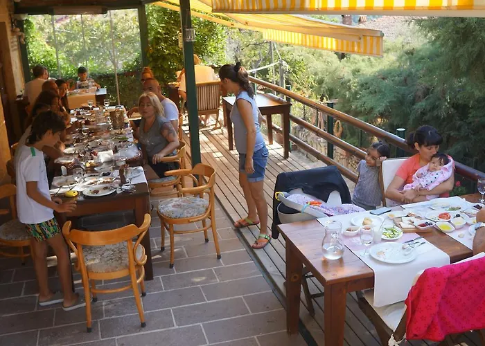 게스트하우스 Kisik Konagi Yesilyurt (Canakkale)