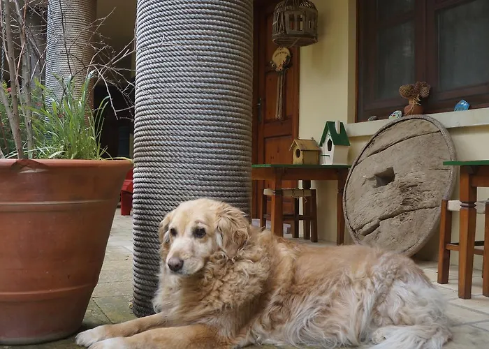 Kisik Konagi 3* Yesilyurt (Canakkale)