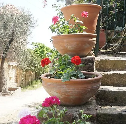 게스트하우스 Kisik Konagi