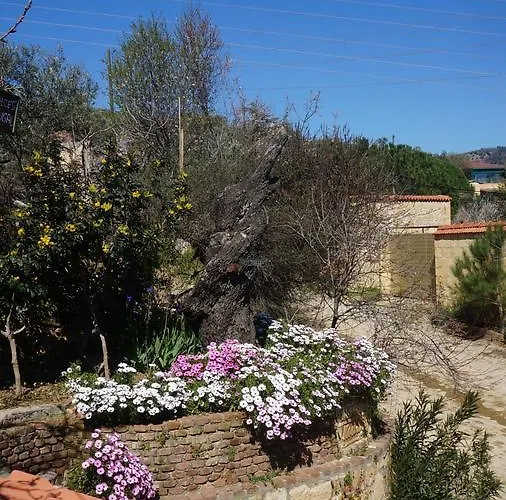 Kisik Konagi Yesilyurt (Canakkale)