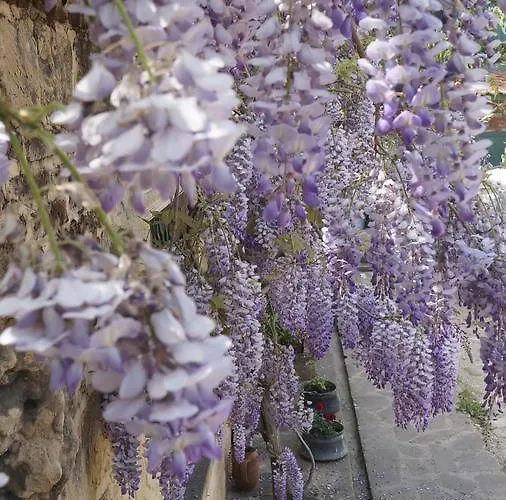 Kisik Konagi 게스트하우스 3*