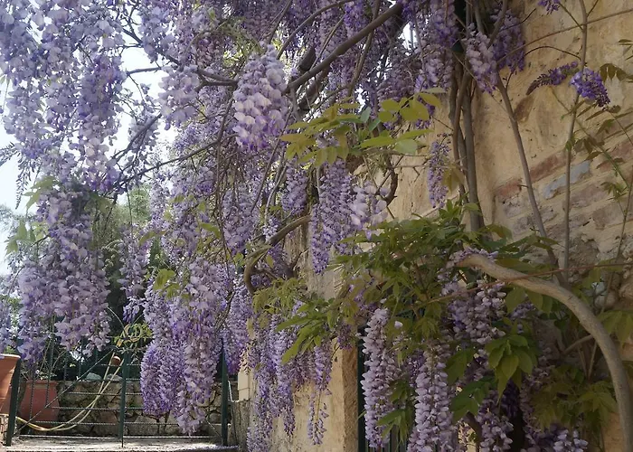 Kisik Konagi Yesilyurt (Canakkale)